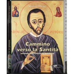 Cammino verso la Santità