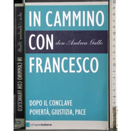 In cammino con Francesco