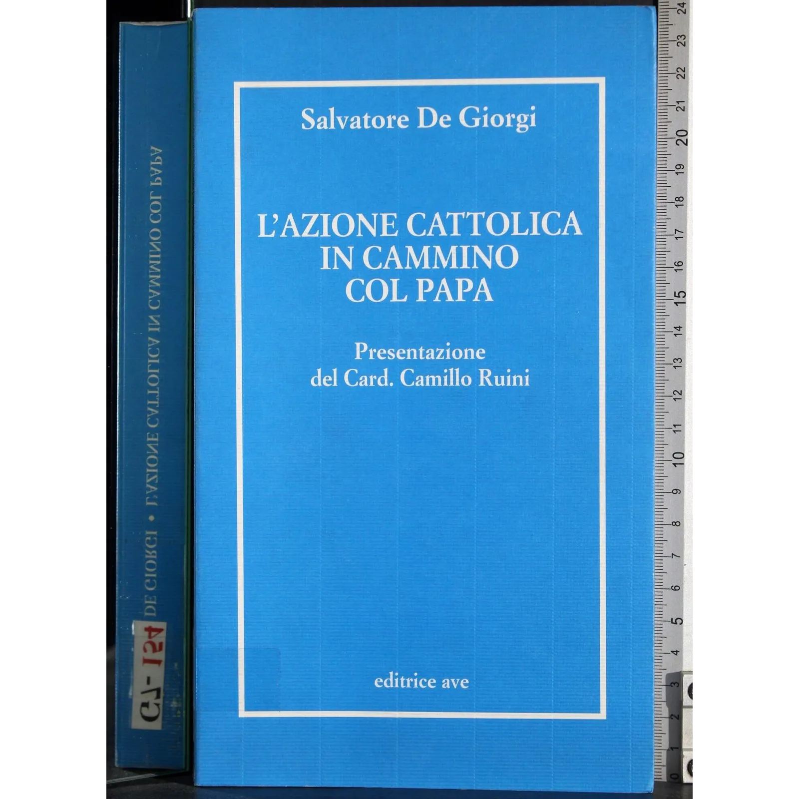 L'azione cattolica in cammino col Papa