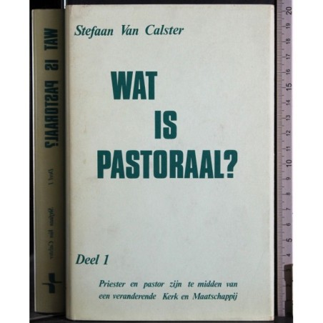 Wat is pastoral?