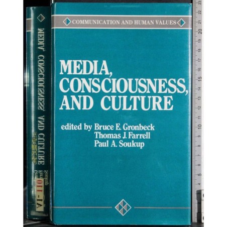 Media, consciousness, and culture