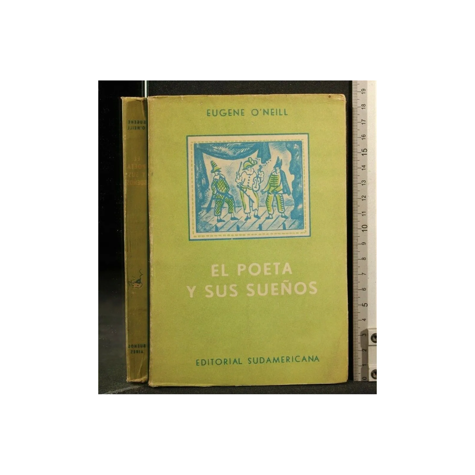 EL POETA Y SUS SUENOS