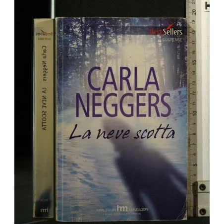 LA NEVE SCOTTA