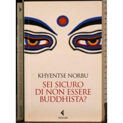 Sei sicuro di non essere Buddhista?