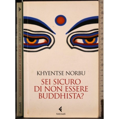 Sei sicuro di non essere Buddhista?