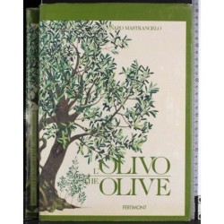 L'olivo. The olive