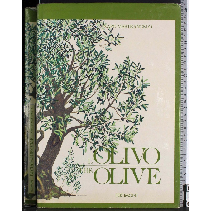 L'olivo. The olive