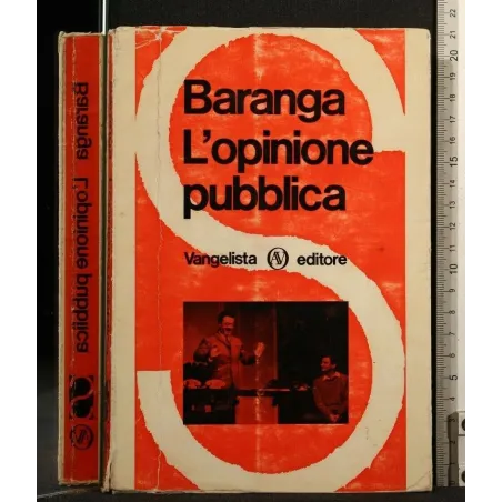 L'OPINIONE PUBBLICA