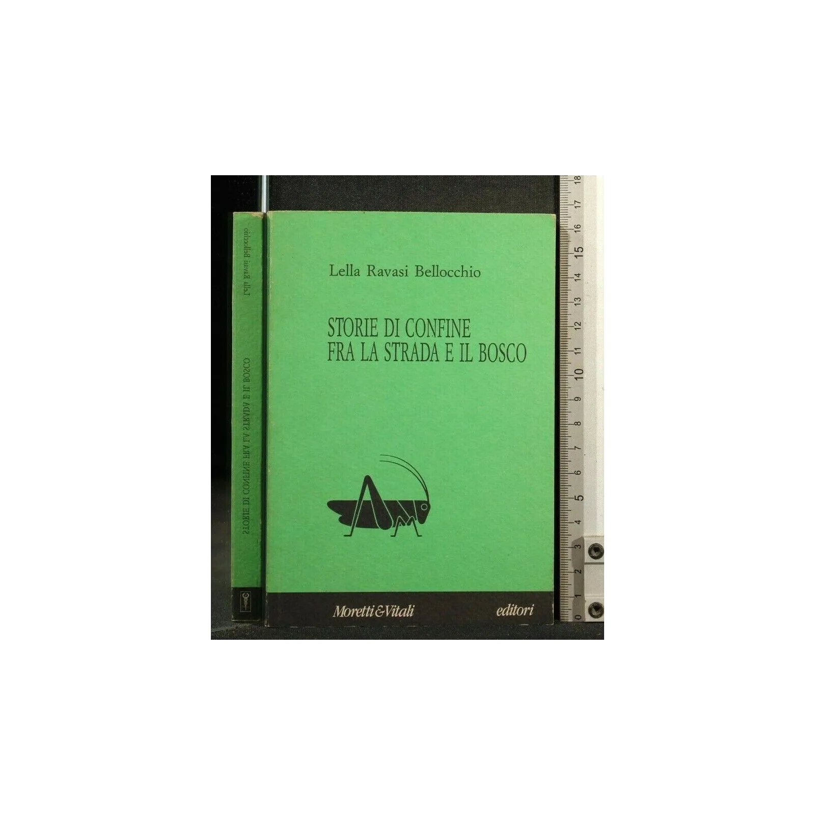 STORIE DI CONFINE FRA LA STRADA E IL BOSCO