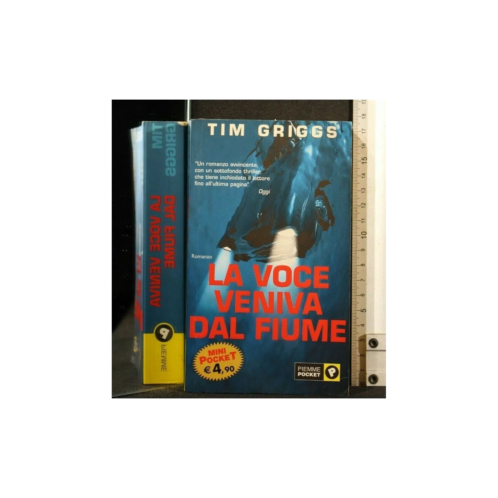 LA VOCE VENIVA DAL FIUME