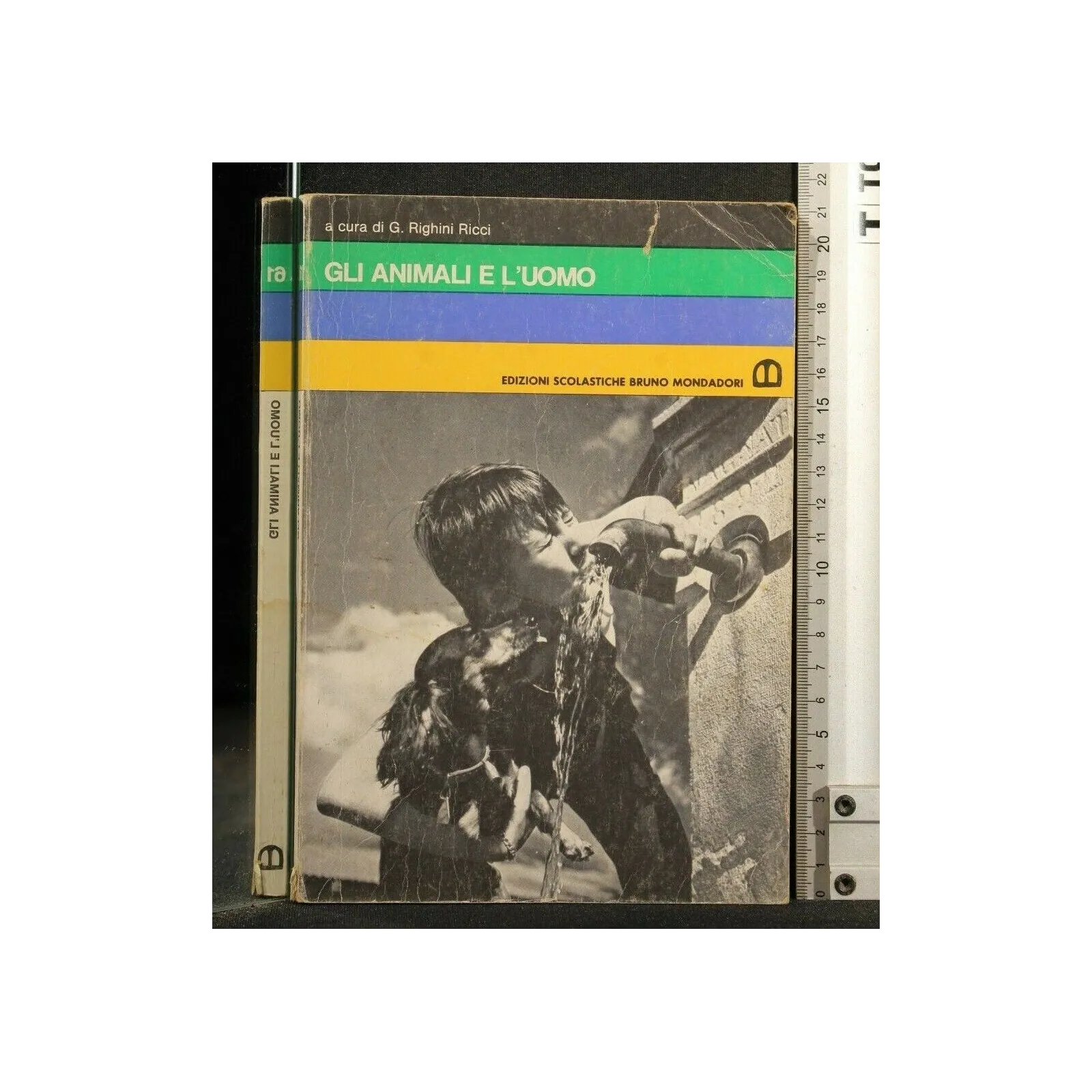 GLI ANIMALI E L'UOMO