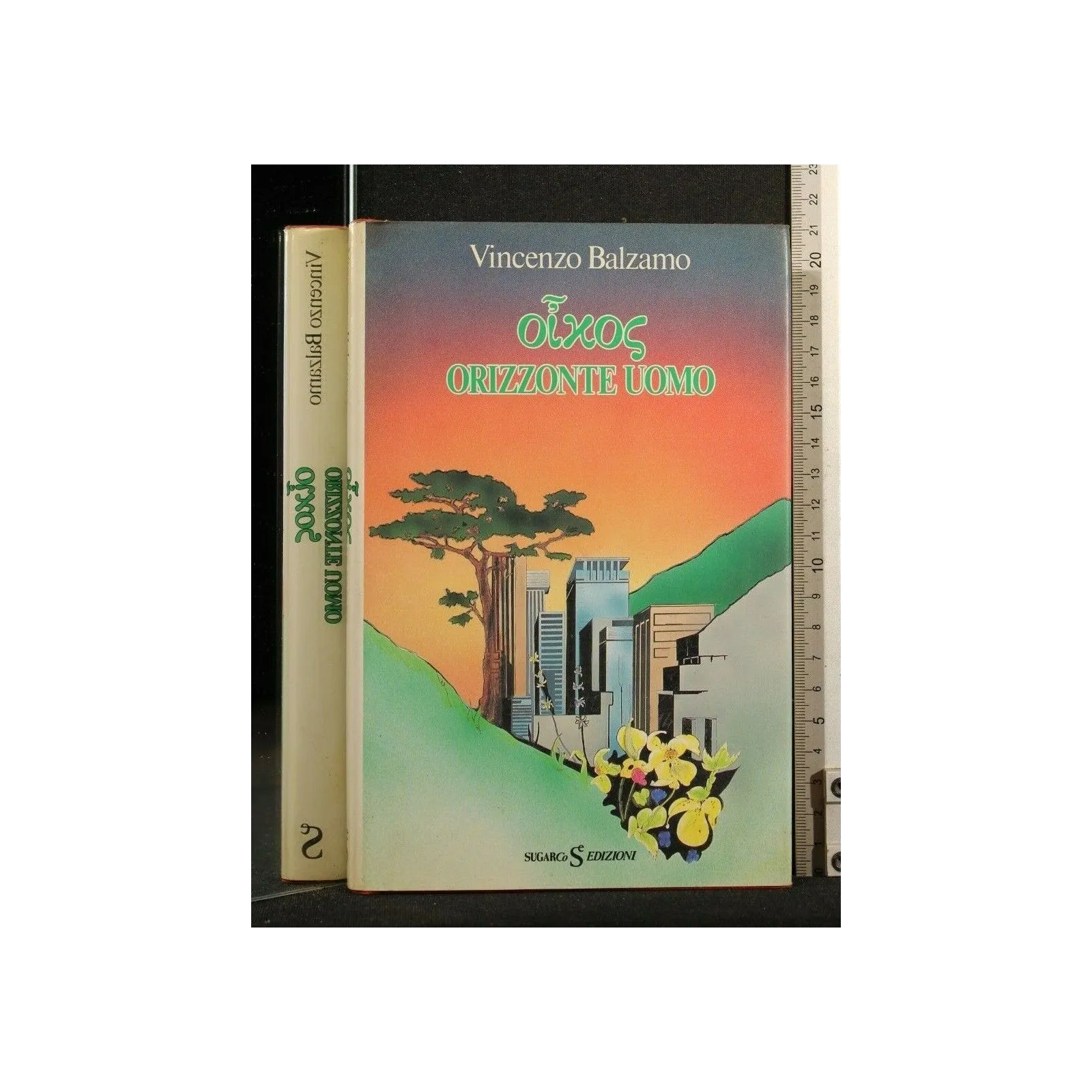 OLXOS ORIZZONTE UOMO