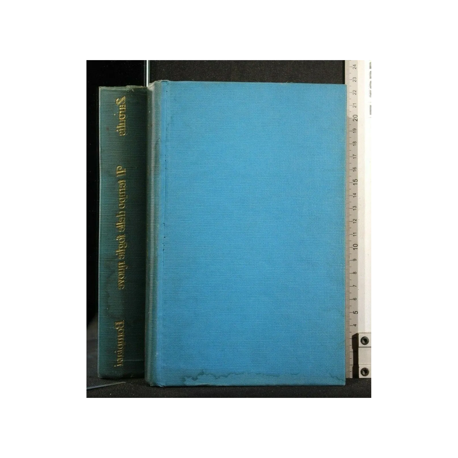 IL TEMPO DELLE FOGLIE NUOVE