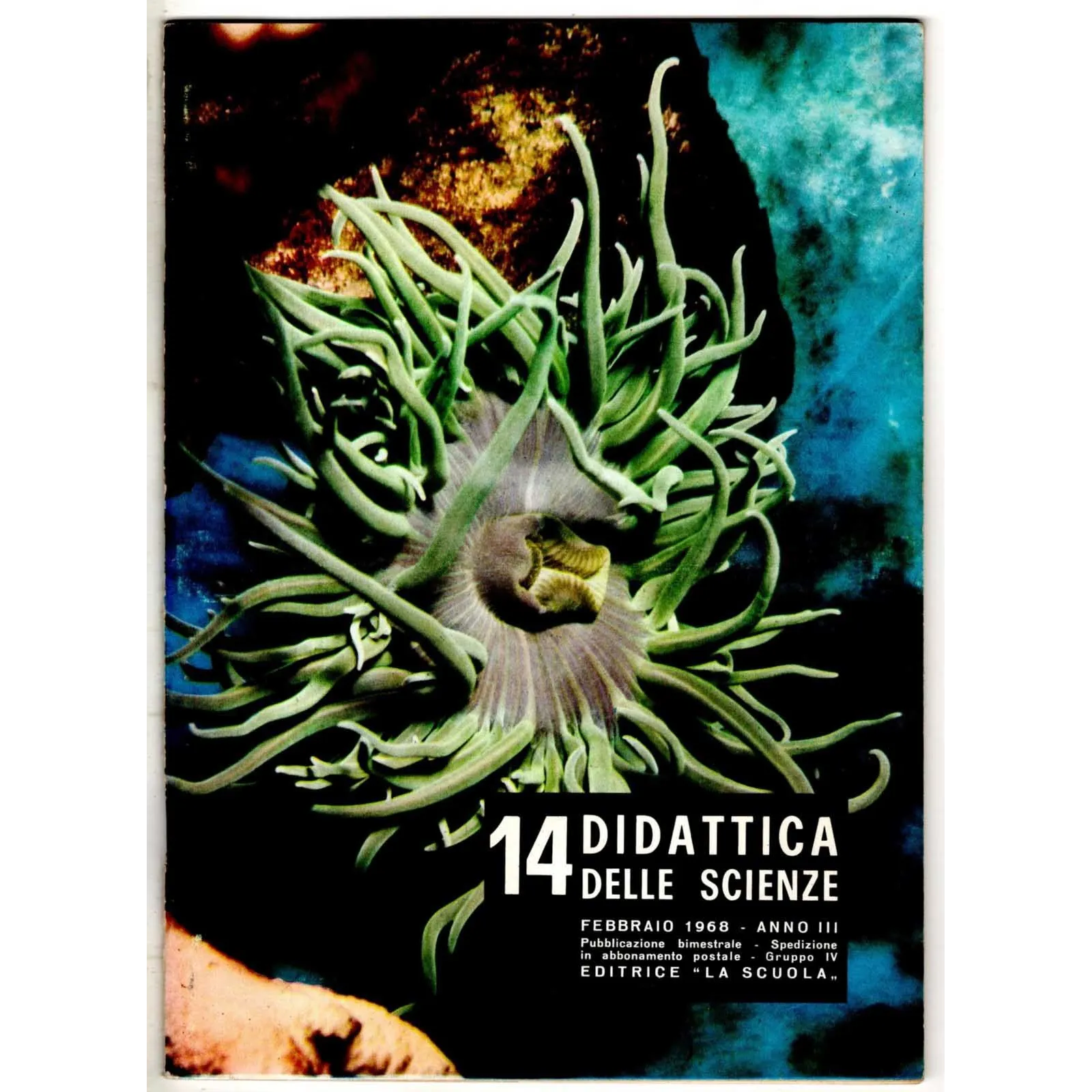 DIDATTICA DELLE SCIENZE - N 14 - 1968
