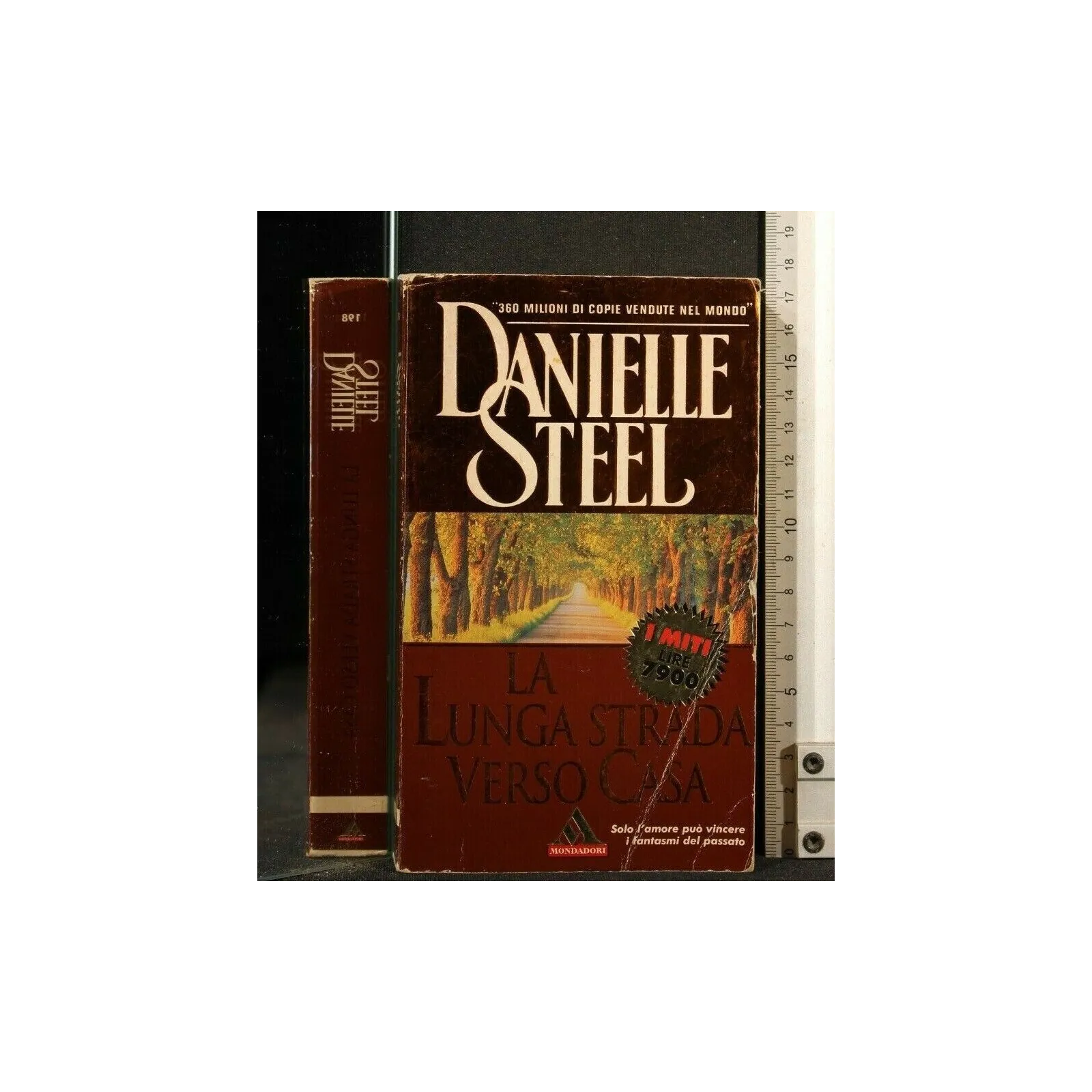 LA LUNGA STRADA VERSO CASA