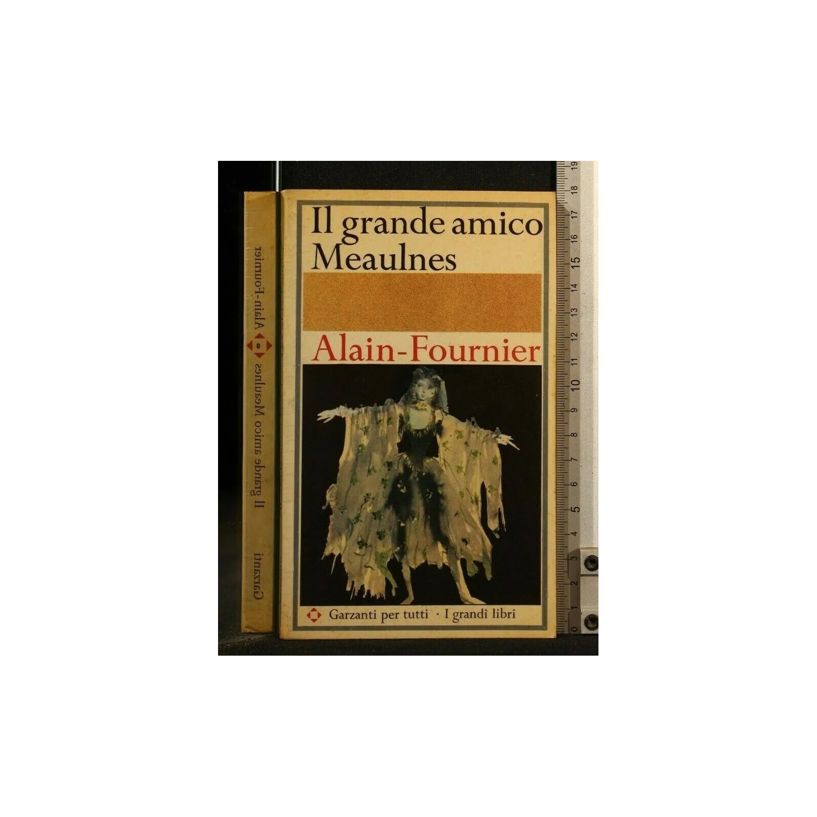 IL GRANDE AMICO MEAULNES