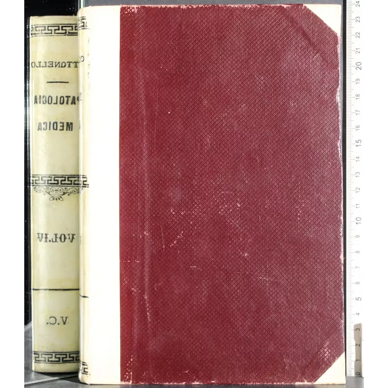 Trattato di patologia speciale medica e terapia. Vol 4