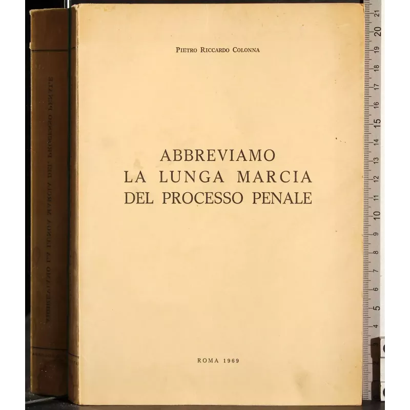Abbreviamo la lunga marcia del processo penale