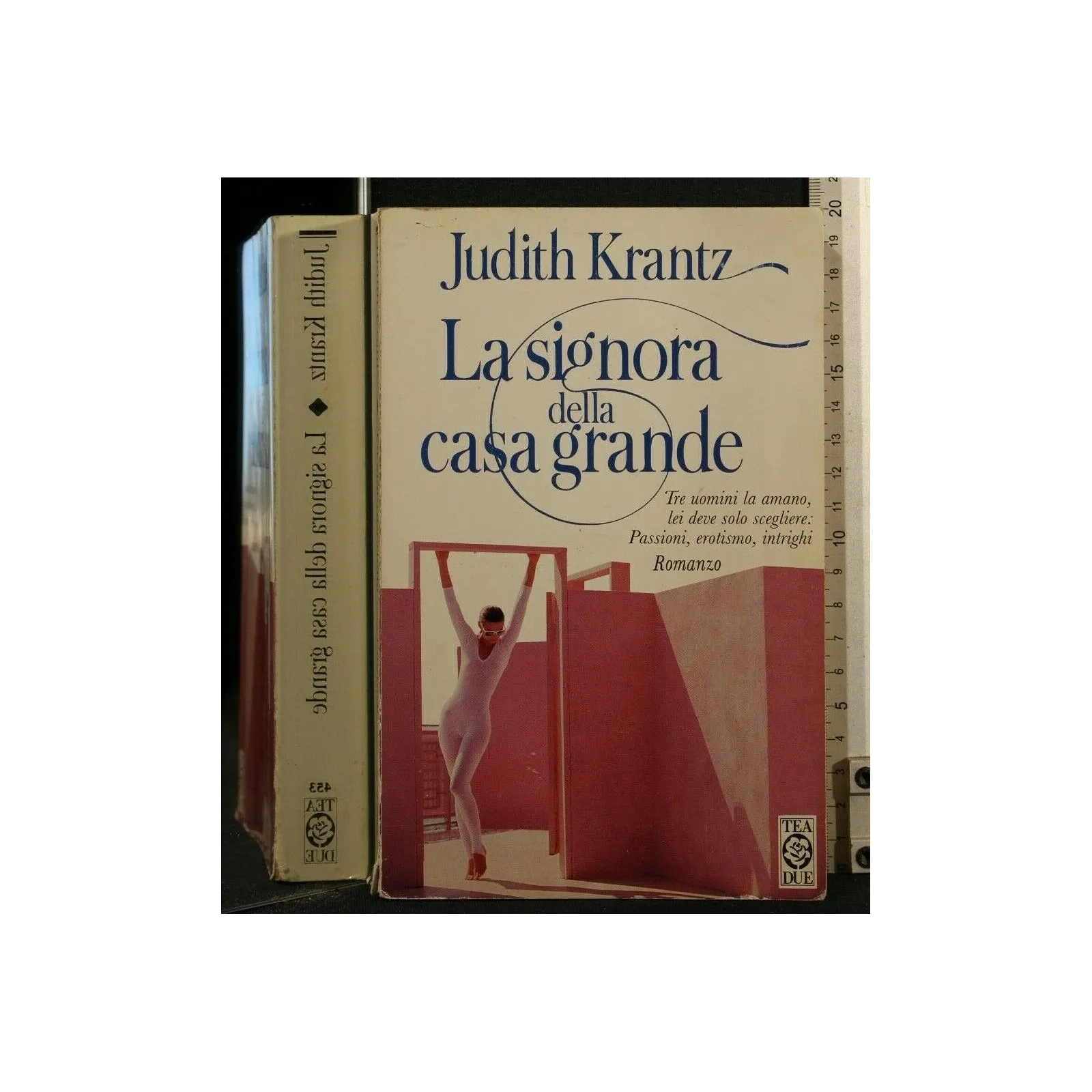 LA SIGNORA DELLA CASA GRANDE