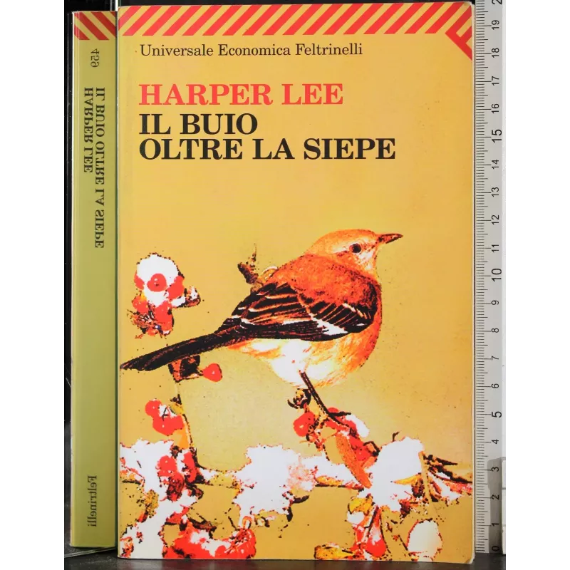 Il buio oltre la siepe