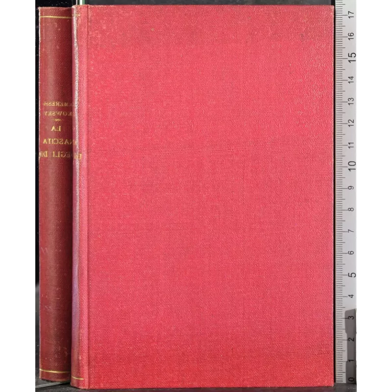 La nascita degli Dei