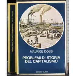 Problemi di storia del capitalismo