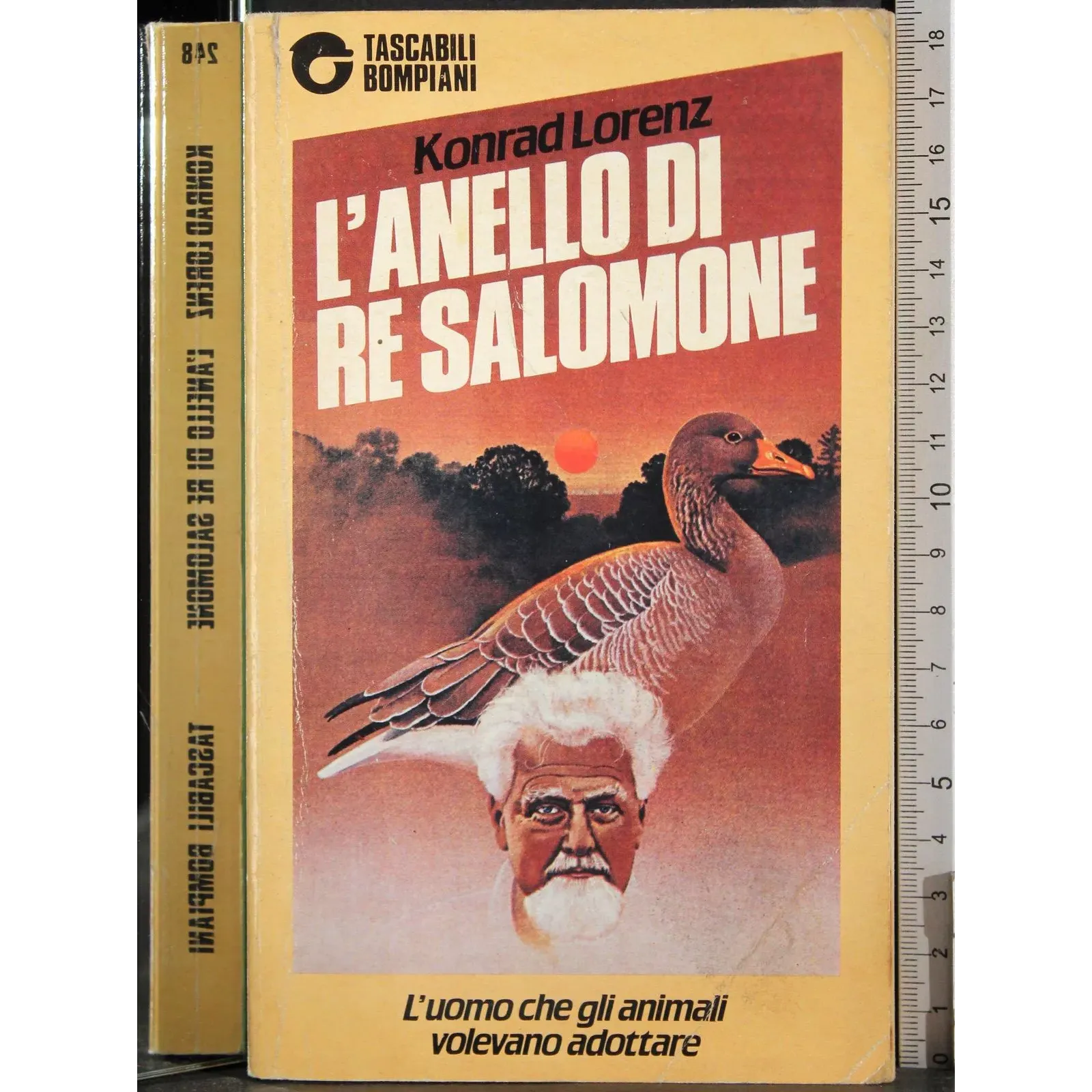 L'anello di Re Salomone