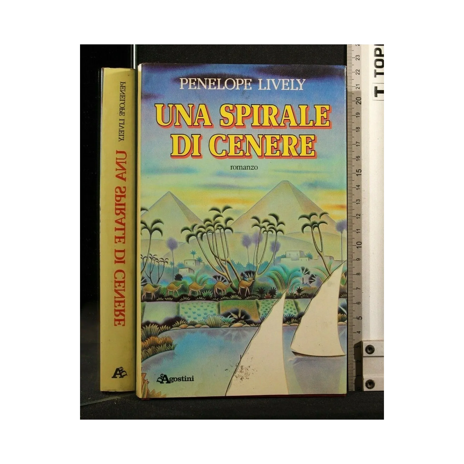 UNA SPIRALE IN CENERE