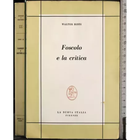 Foscolo e la critica