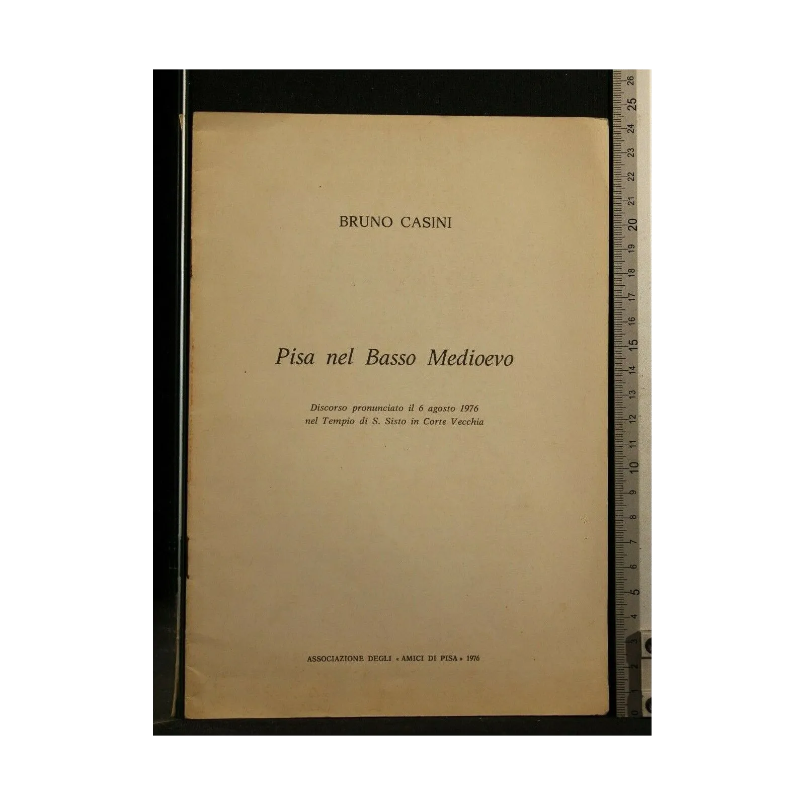 PISA NEL BASSO MEDIOEVO