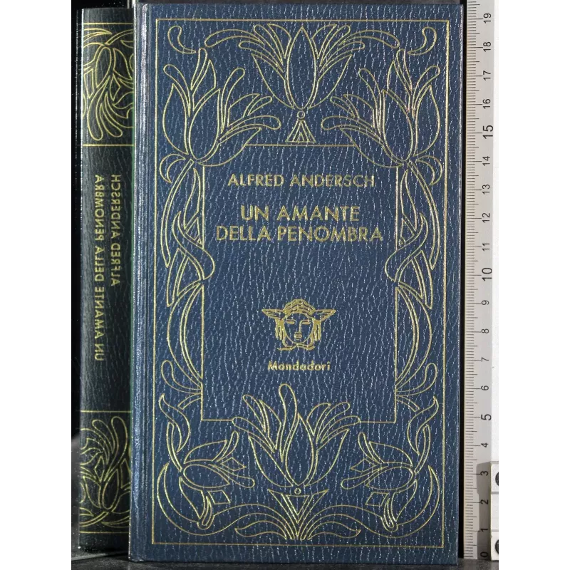 Un amante della penombra