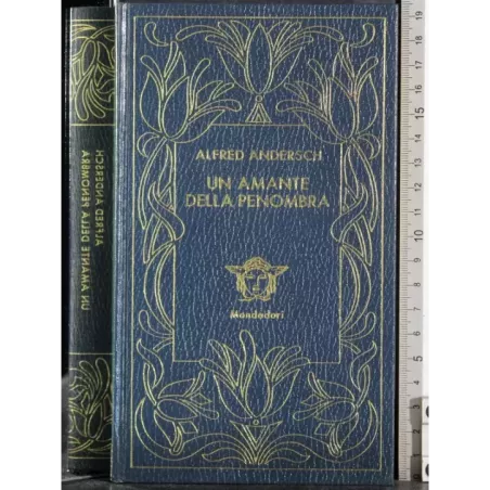 Un amante della penombra