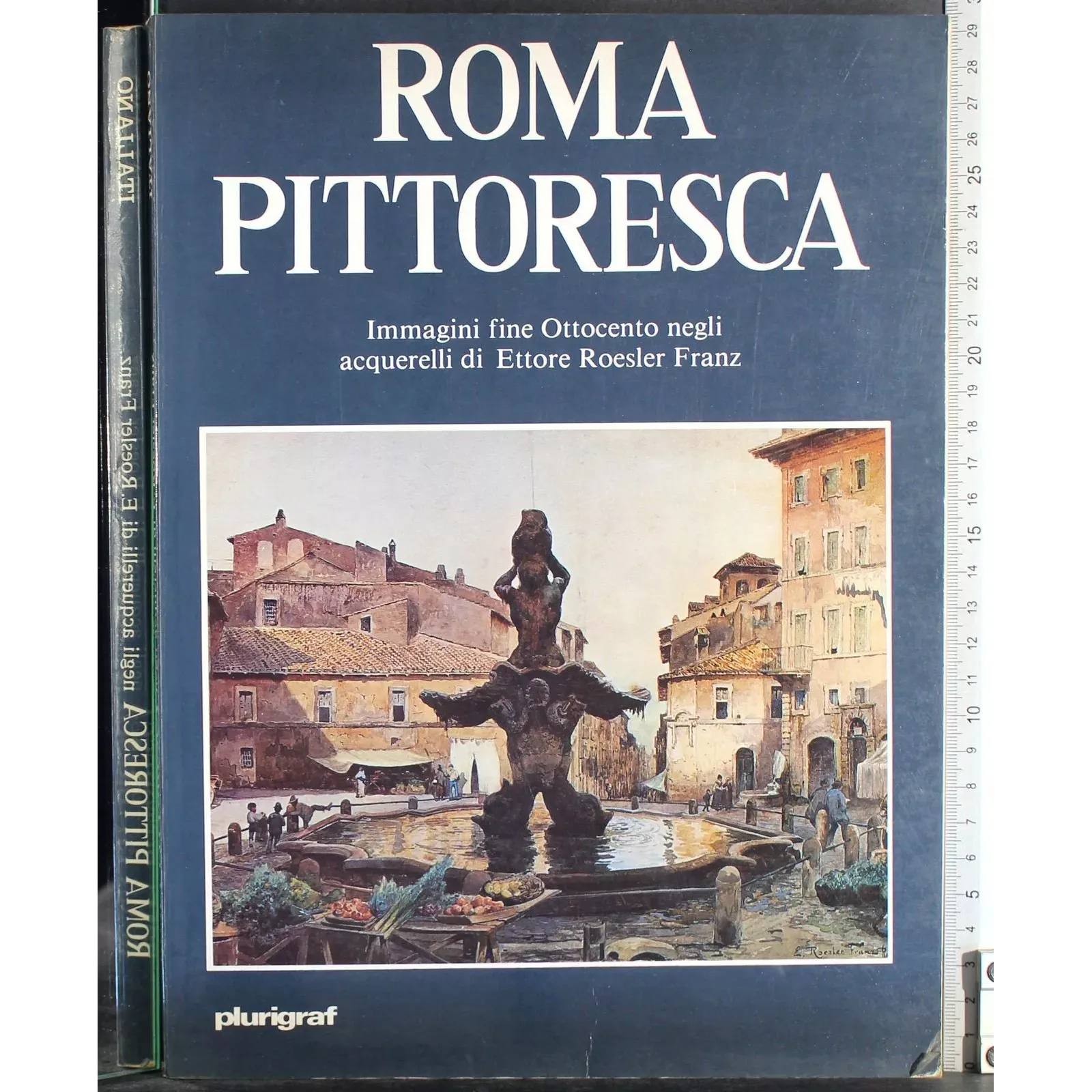 Roma Pittoresca