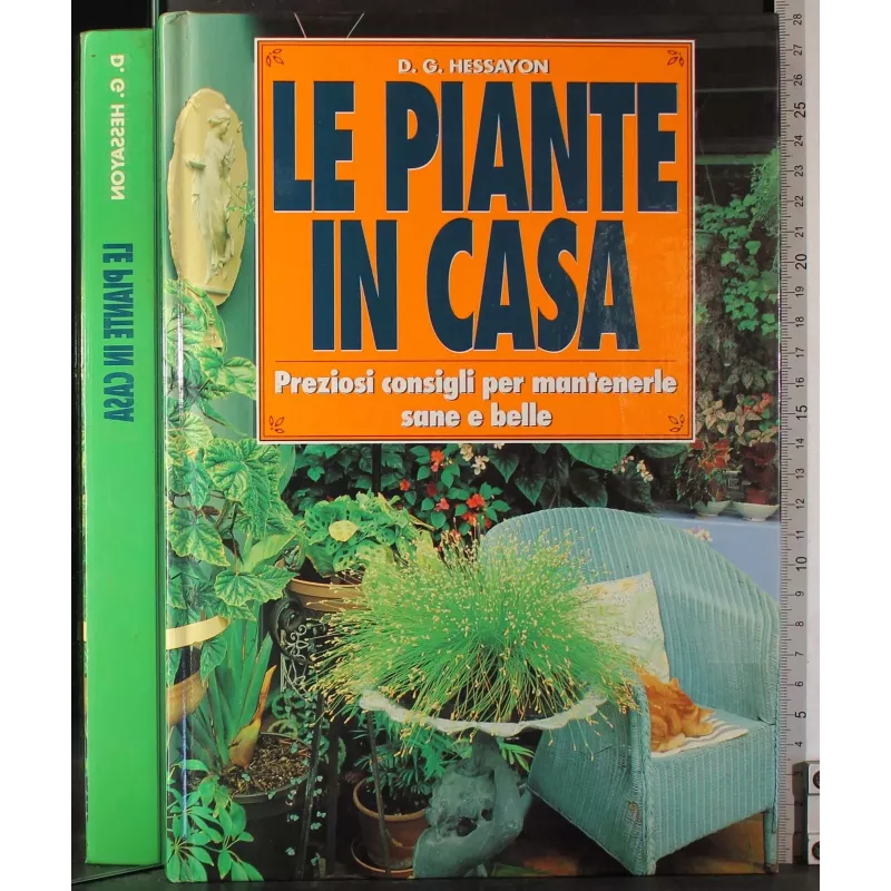 Le piante in casa
