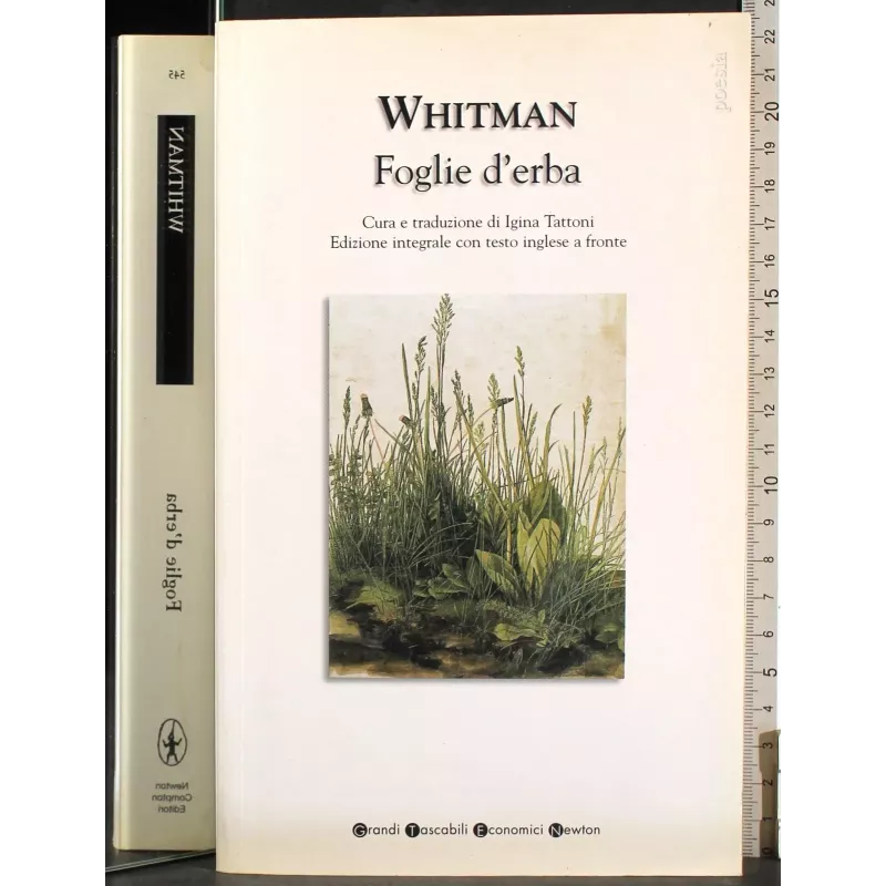 Foglie d'erba