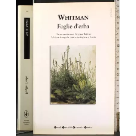 Foglie d'erba