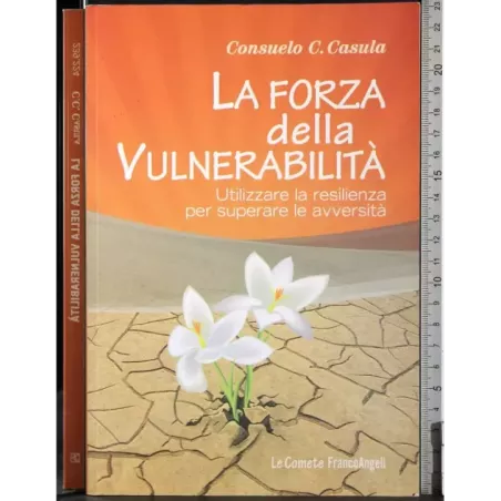 La forza della vulnerabilità
