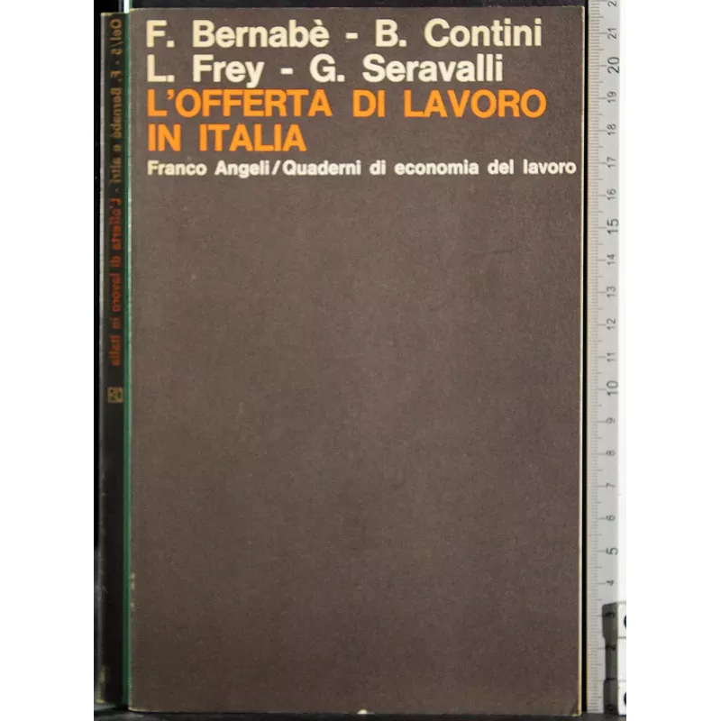 L'offerta di lavoro in Italia