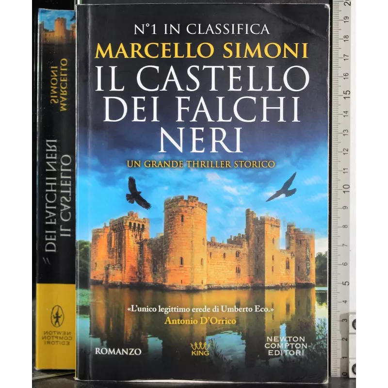 Il castello dei falchi neri