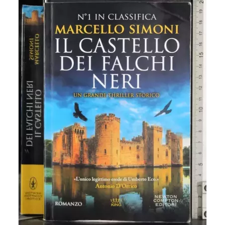 Il castello dei falchi neri