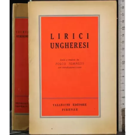 Lirici ungheresi