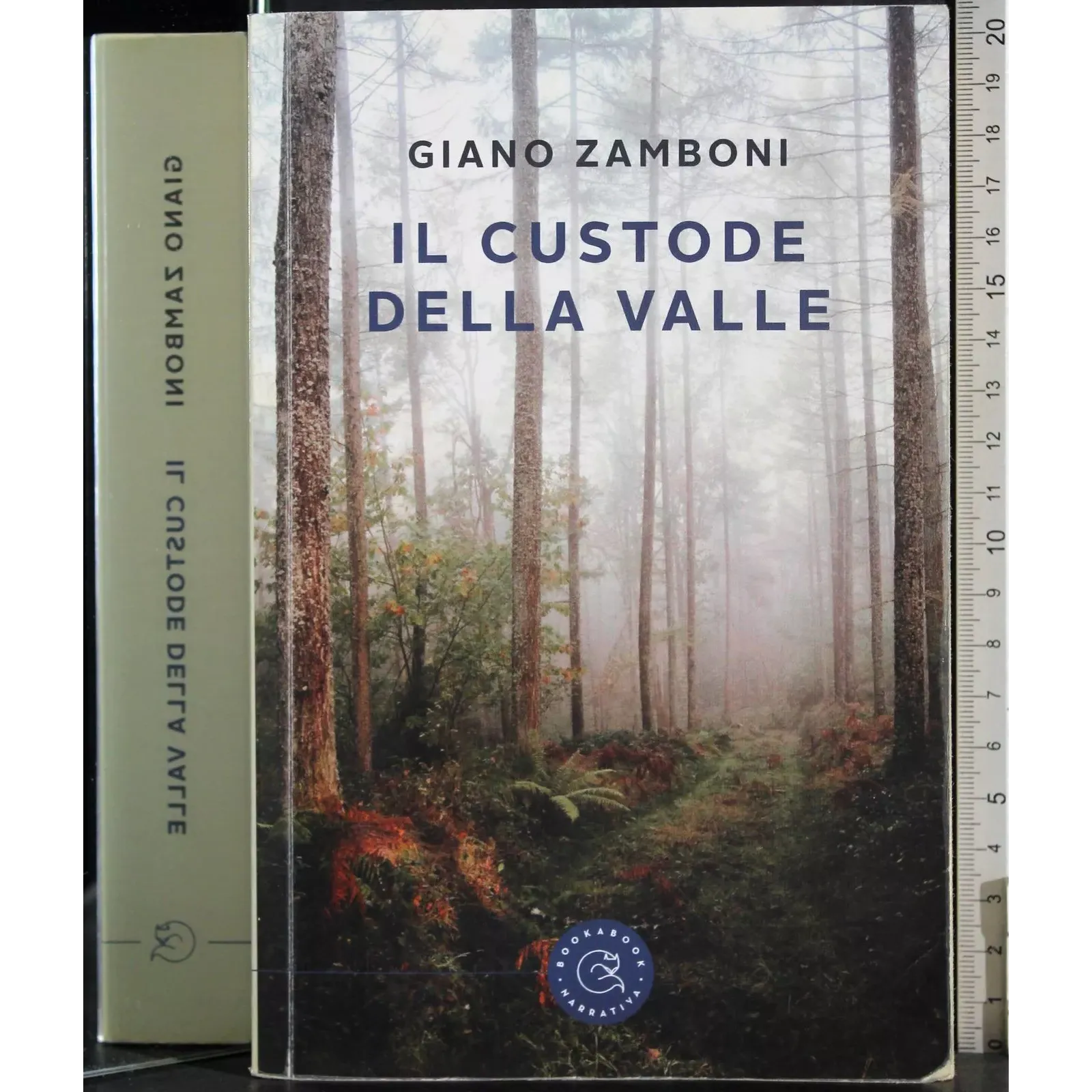Il custode della valle