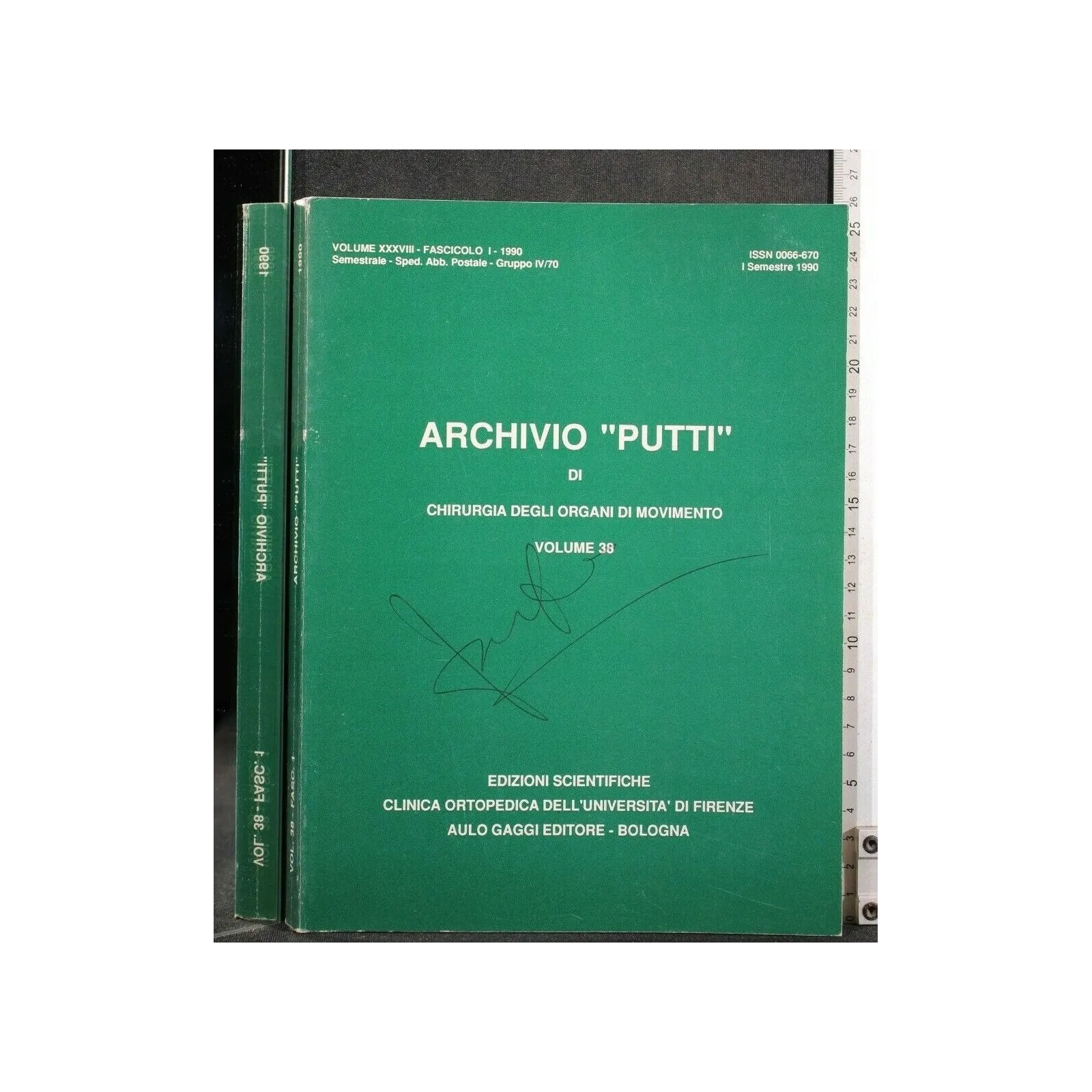 ARCHIVIO "PUTTI" DI CHIRURGIA DEGLI ORGANI DI MOVIMENTO VOL 38