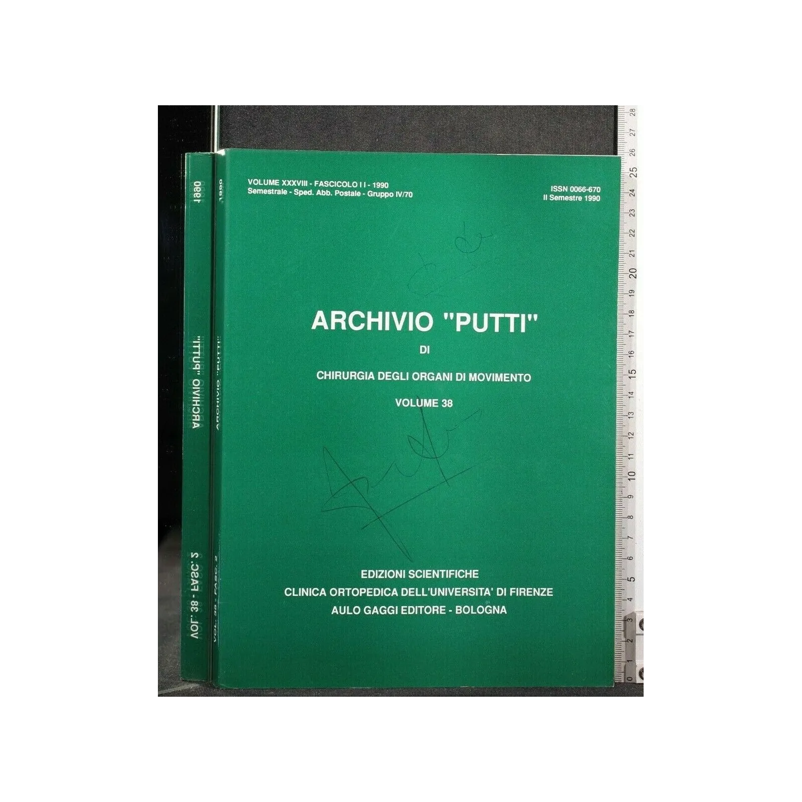ARCHIVIO "PUTTI" DI CHIRURGIA DEGLI ORGANI DI MOVIMENTO VOL 38