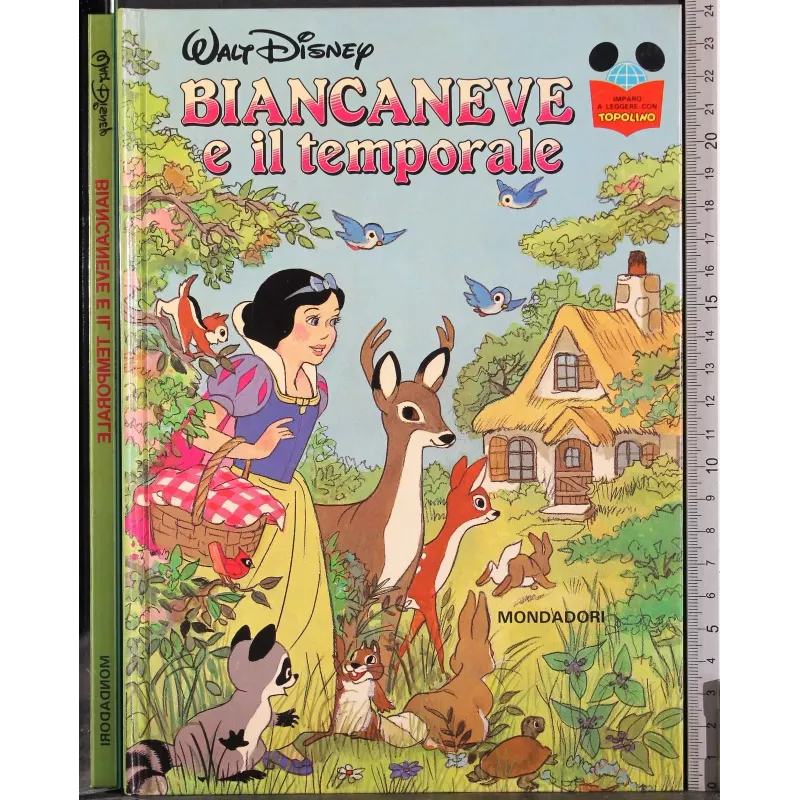 Biancaneve e il temporale