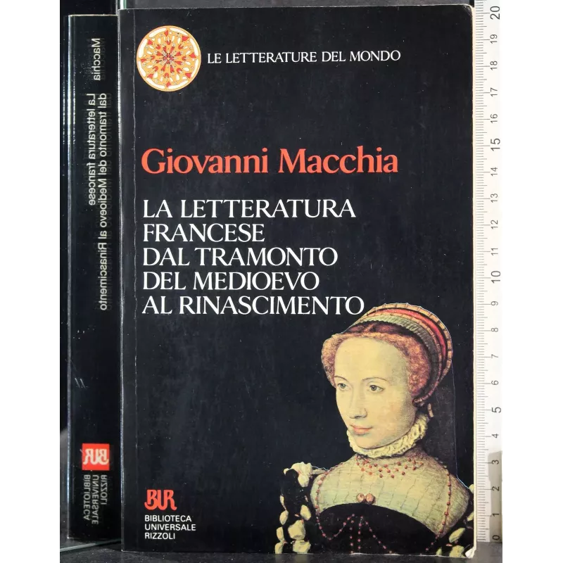 Letteratura francese dal Medioevo al Rinascimento