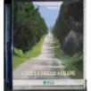 Civiltà delle strade