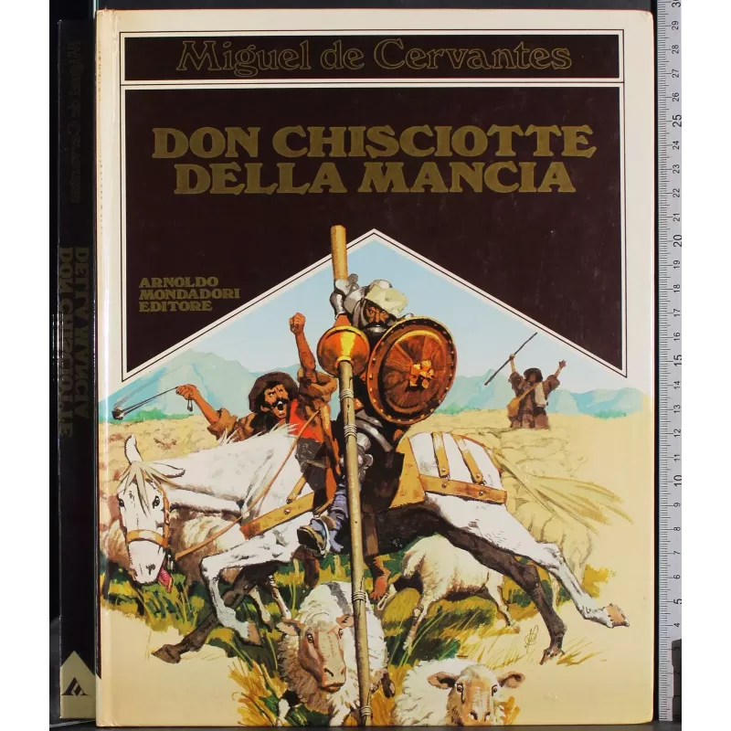 Don Chisciotte della Mancia