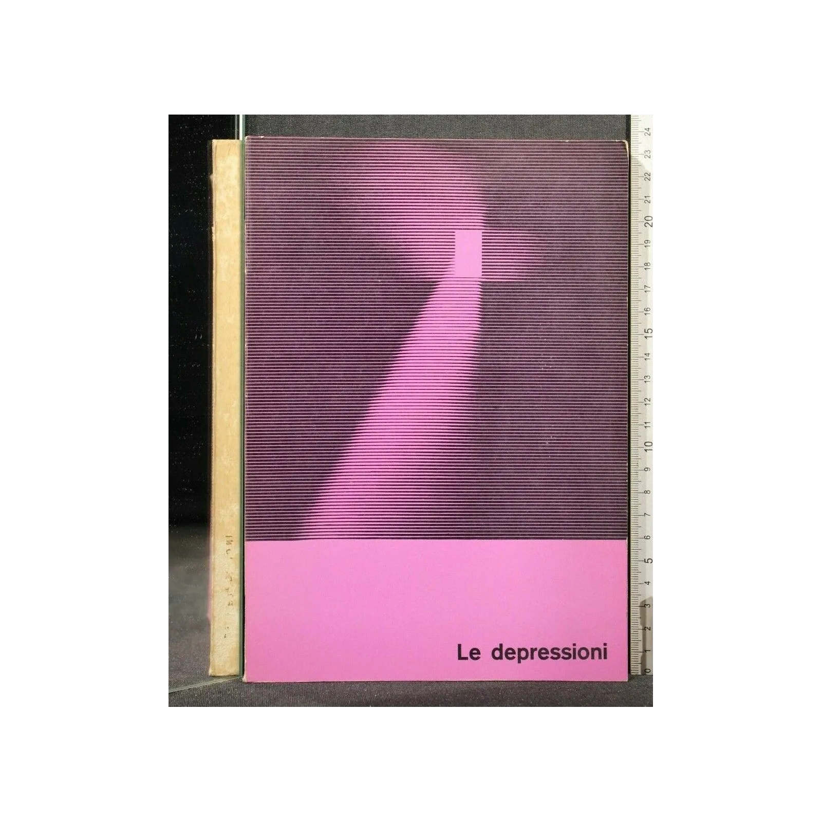 LE DEPRESSIONI
