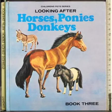 Horses, Ponies Donkeys